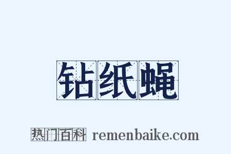 钻纸蝇是什么意思的图片